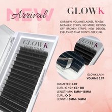 Load image into Gallery viewer, RENEW Volume Lash 0,07mm D curl
