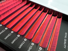 Load image into Gallery viewer, Volume Fluorescent Pink
